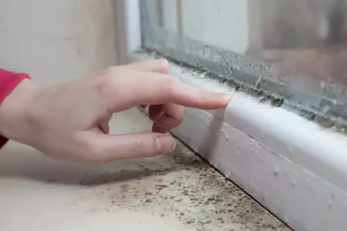 Cold And Mould